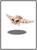 Evil Bone Helm
